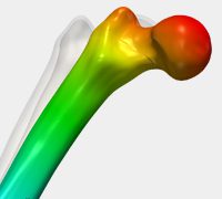 bone simulation